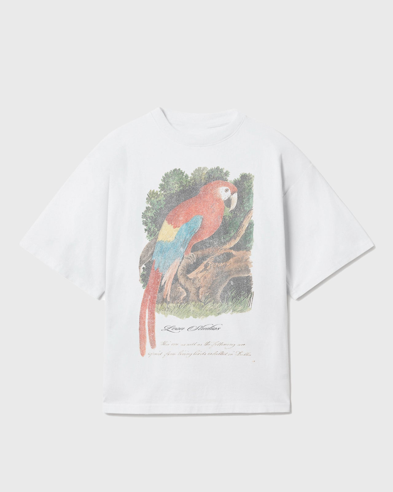 FADED PARROT T-SHIRT