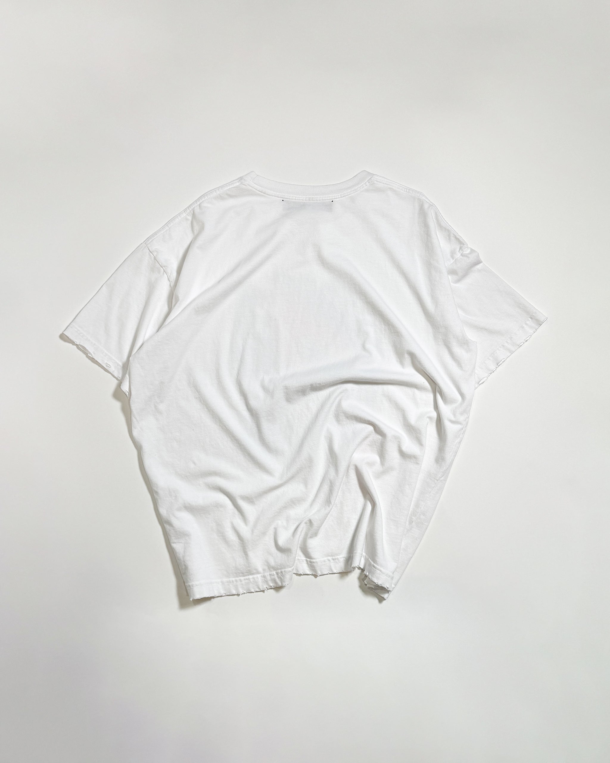 FADED PARROT T-SHIRT